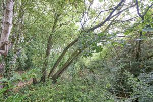 Photo 33- click for photo gallery